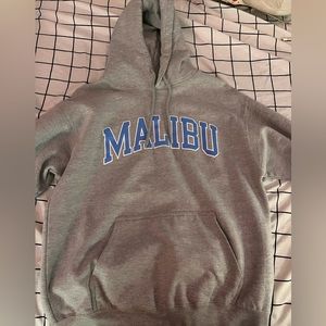 Brandy Melville Malibu Hoodie